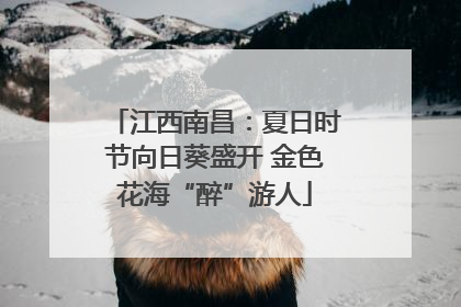 江西南昌：夏日时节向日葵盛开 金色花海“醉”游人