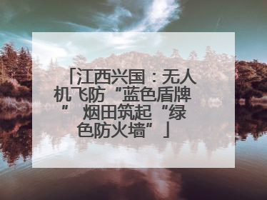 江西兴国：无人机飞防“蓝色盾牌” 烟田筑起“绿色防火墙”