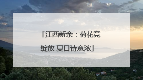 江西新余：荷花竞绽放 夏日诗意浓