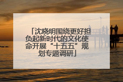 沈晓明围绕更好担负起新时代的文化使命开展“十五五”规划专题调研