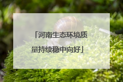 河南生态环境质量持续稳中向好