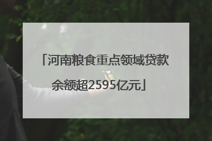 河南粮食重点领域贷款余额超2595亿元
