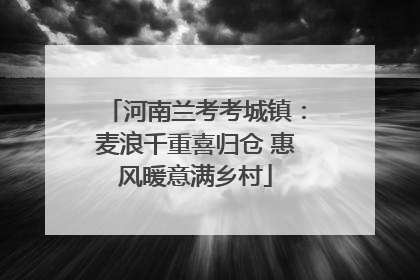 河南兰考考城镇：麦浪千重喜归仓 惠风暖意满乡村