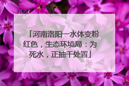 河南洛阳一水体变粉红色，生态环境局：为死水，正抽干处置