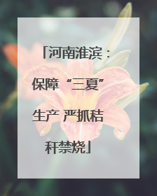 河南淮滨：保障“三夏”生产 严抓秸秆禁烧