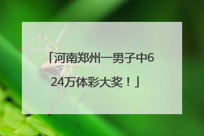 河南郑州一男子中624万体彩大奖！