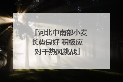 河北中南部小麦长势良好 积极应对干热风挑战