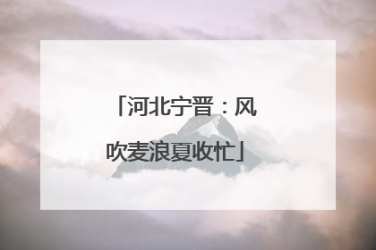 河北宁晋：风吹麦浪夏收忙
