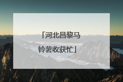 河北昌黎马铃薯收获忙