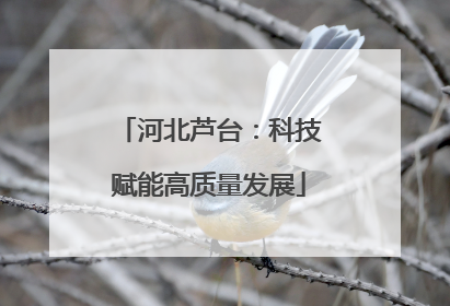 河北芦台：科技赋能高质量发展