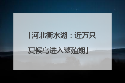 河北衡水湖：近万只夏候鸟进入繁殖期