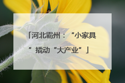 河北霸州：“小家具”撬动“大产业”