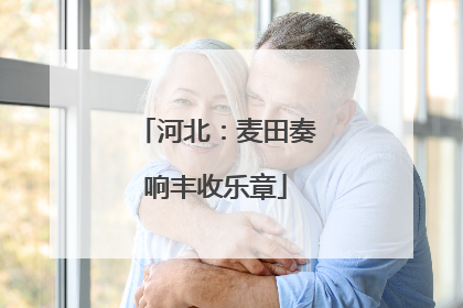 河北：麦田奏响丰收乐章