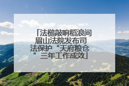 法槌敲响稻浪间 眉山法院发布司法保护“天府粮仓”三年工作成效