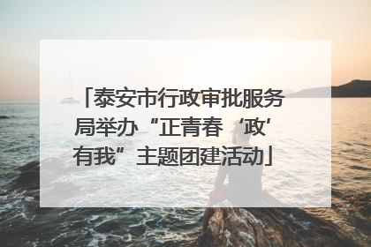 泰安市行政审批服务局举办“正青春‘政’有我”主题团建活动