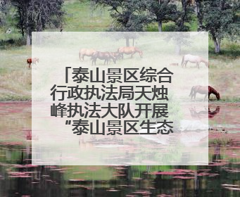 泰山景区综合行政执法局天烛峰执法大队开展“泰山景区生态保护日”志愿宣传活动
