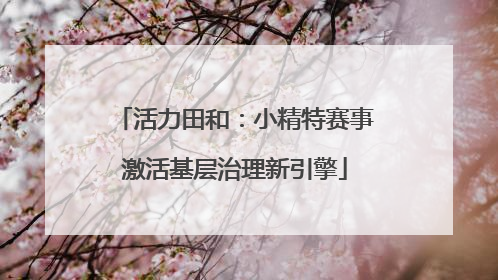 活力田和：小精特赛事激活基层治理新引擎