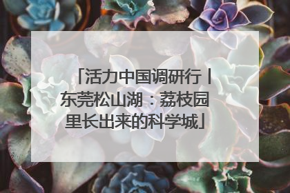活力中国调研行丨东莞松山湖：荔枝园里长出来的科学城