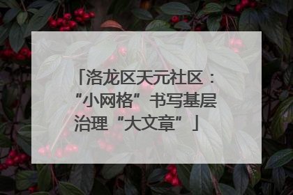 洛龙区天元社区：“小网格”书写基层治理“大文章”