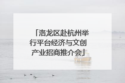 洛龙区赴杭州举行平台经济与文创产业招商推介会