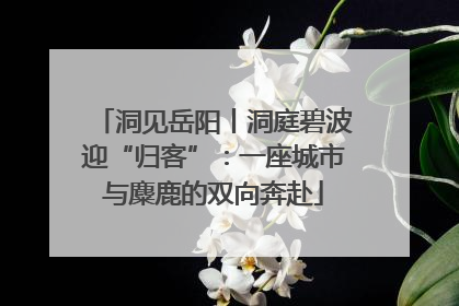 洞见岳阳丨洞庭碧波迎“归客”：一座城市与麋鹿的双向奔赴
