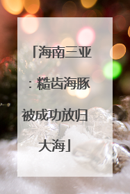 海南三亚：糙齿海豚被成功放归大海