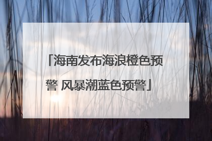 海南发布海浪橙色预警 风暴潮蓝色预警