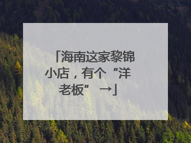 海南这家黎锦小店，有个“洋老板” →