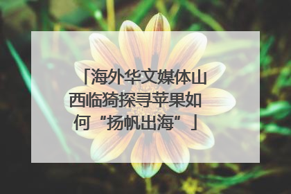 海外华文媒体山西临猗探寻苹果如何“扬帆出海”