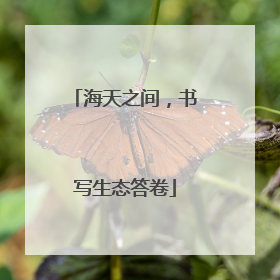 海天之间，书写生态答卷