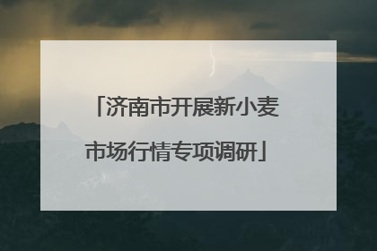 济南市开展新小麦市场行情专项调研