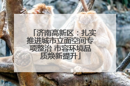 济南高新区：扎实推进城市立面空间专项整治 市容环境品质焕新提升