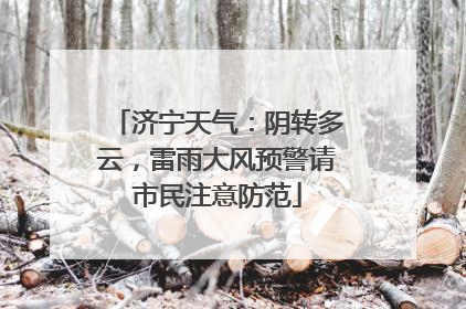 济宁天气：阴转多云，雷雨大风预警请市民注意防范