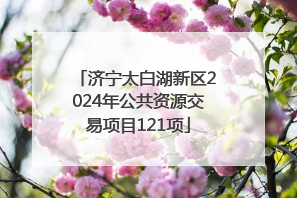 济宁太白湖新区2024年公共资源交易项目121项