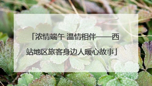 浓情端午 温情相伴——西站地区旅客身边人暖心故事