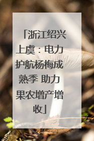 浙江绍兴上虞：电力护航杨梅成熟季 助力果农增产增收