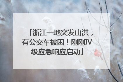 浙江一地突发山洪，有公交车被困！刚刚Ⅳ级应急响应启动