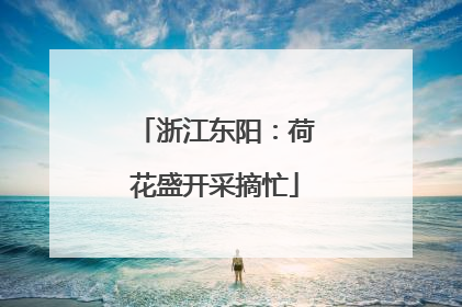 浙江东阳：荷花盛开采摘忙
