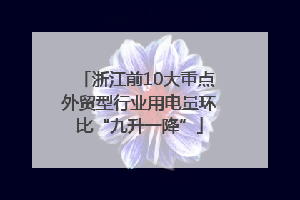 浙江前10大重点外贸型行业用电量环比“九升一降”