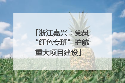 浙江嘉兴：党员“红色专班”护航重大项目建设
