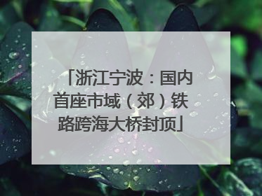 浙江宁波：国内首座市域（郊）铁路跨海大桥封顶
