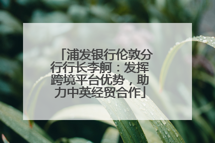 浦发银行伦敦分行行长李舸：发挥跨境平台优势，助力中英经贸合作
