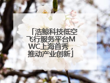 浩鲸科技低空飞行服务平台MWC上海首秀，推动产业创新