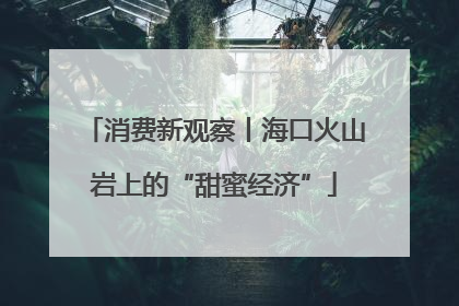 消费新观察丨海口火山岩上的“甜蜜经济”