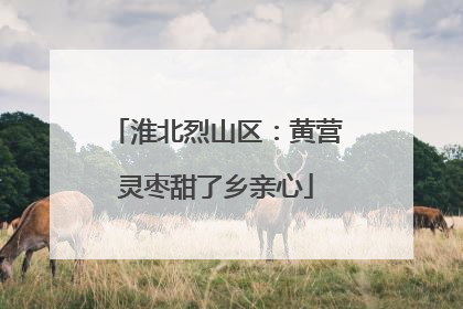 淮北烈山区：黄营灵枣甜了乡亲心
