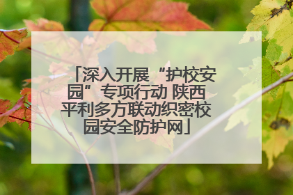 深入开展“护校安园”专项行动 陕西平利多方联动织密校园安全防护网