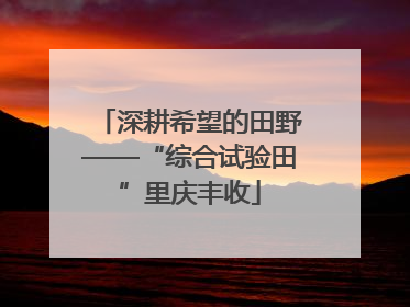 深耕希望的田野——“综合试验田”里庆丰收
