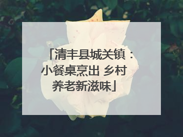 清丰县城关镇：小餐桌烹出 乡村养老新滋味