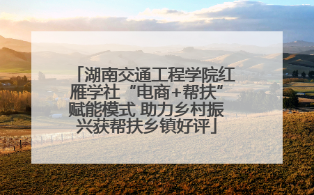 湖南交通工程学院红雁学社“电商+帮扶”赋能模式 助力乡村振兴获帮扶乡镇好评