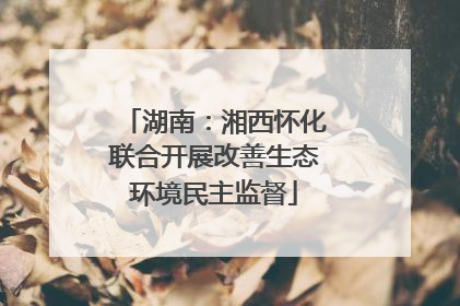 湖南：湘西怀化联合开展改善生态环境民主监督